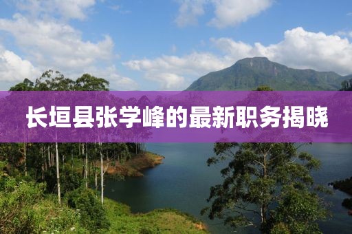 长垣县张学峰的最新职务揭晓