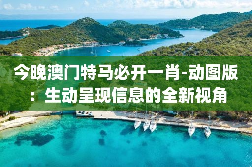今晚澳门特马必开一肖-动图版：生动呈现信息的全新视角