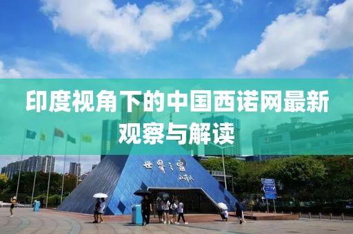 印度视角下的中国西诺网最新观察与解读