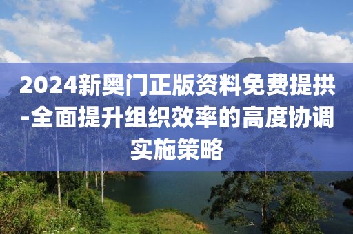 2024新奥门正版资料免费提拱-全面提升组织效率的高度协调实施策略