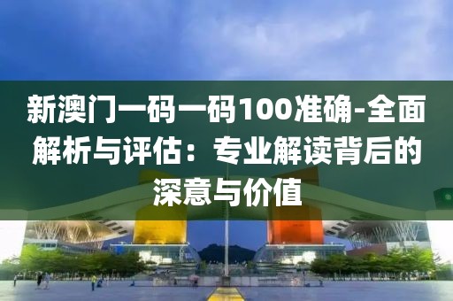 新澳门一码一码100准确-全面解析与评估：专业解读背后的深意与价值