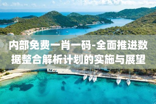 内部免费一肖一码-全面推进数据整合解析计划的实施与展望