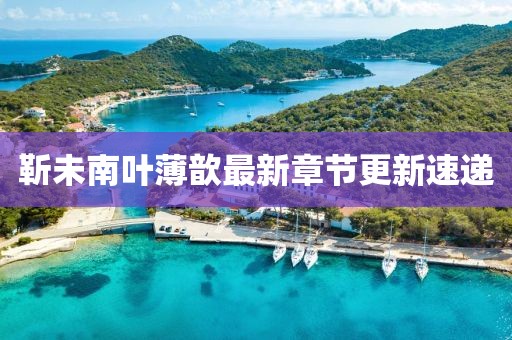 靳未南叶薄歆最新章节更新速递