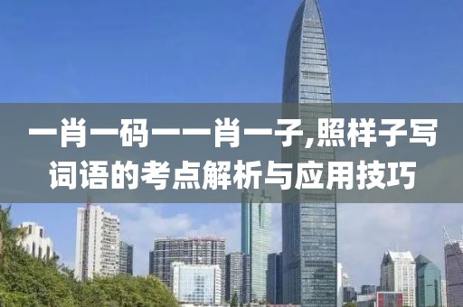 一肖一码一一肖一子,照样子写词语的考点解析与应用技巧