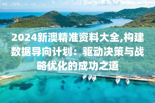 2024新澳精准资料大全,构建数据导向计划：驱动决策与战略优化的成功之道