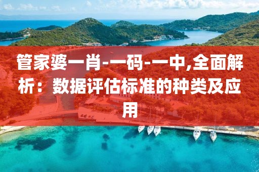 管家婆一肖-一码-一中,全面解析：数据评估标准的种类及应用