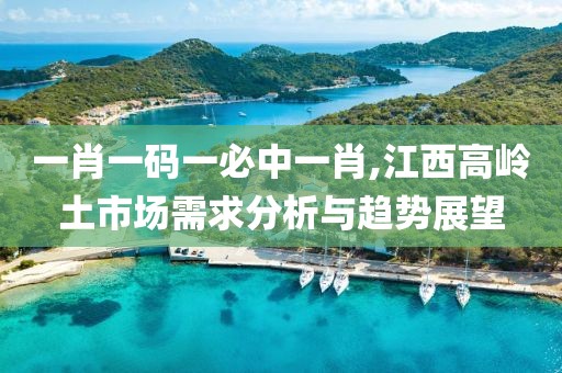 一肖一码一必中一肖,江西高岭土市场需求分析与趋势展望
