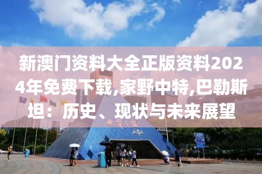 新澳门资料大全正版资料2024年免费下载,家野中特,巴勒斯坦：历史、现状与未来展望