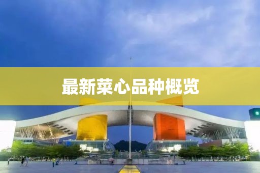 最新菜心品种概览