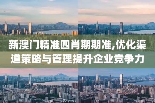 新澳门精准四肖期期准,优化渠道策略与管理提升企业竞争力