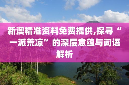 新澳精准资料免费提供,探寻“一派荒凉”的深层意蕴与词语解析