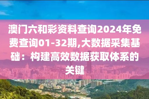 澳门六和彩资料查询2024年免费查询01-32期,大数据采集基础：构建高效数据获取体系的关键