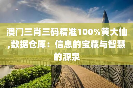 澳门三肖三码精准100%黄大仙,数据仓库：信息的宝藏与智慧的源泉