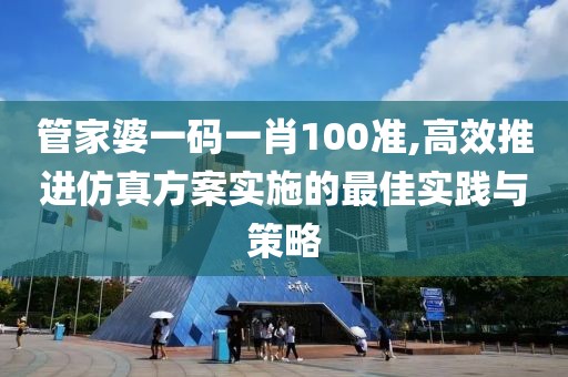 管家婆一码一肖100准,高效推进仿真方案实施的最佳实践与策略