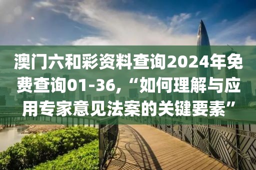 澳门六和彩资料查询2024年免费查询01-36,“如何理解与应用专家意见法案的关键要素”