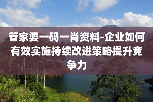 管家婆一码一肖资料-企业如何有效实施持续改进策略提升竞争力