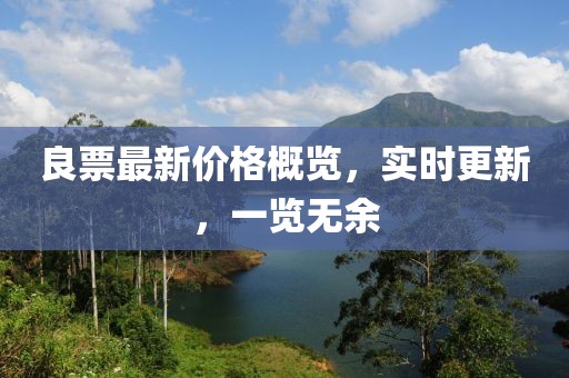 良票最新价格概览，实时更新，一览无余