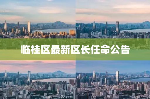 临桂区最新区长任命公告