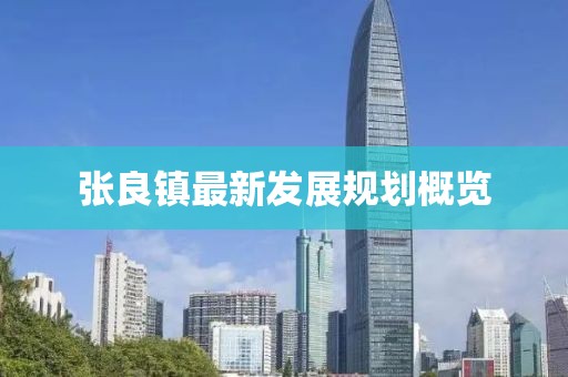 张良镇最新发展规划概览