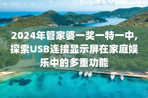 2024年管家婆一奖一特一中,探索USB连接显示屏在家庭娱乐中的多重功能