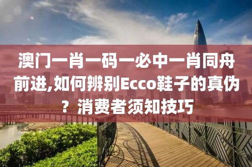 澳门一肖一码一必中一肖同舟前进,如何辨别Ecco鞋子的真伪？消费者须知技巧
