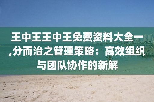 王中王王中王免费资料大全一,分而治之管理策略：高效组织与团队协作的新解