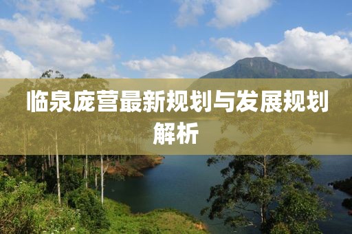 临泉庞营最新规划与发展规划解析