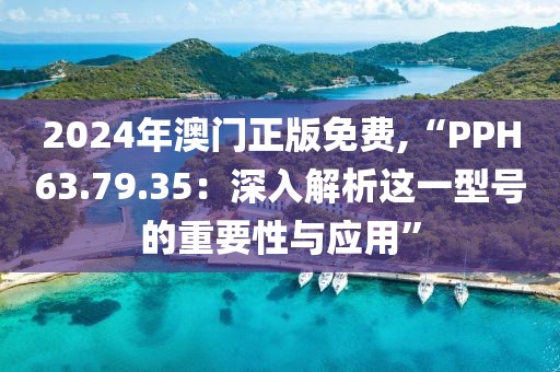 2024年澳门正版免费,“PPH63.79.35：深入解析这一型号的重要性与应用”