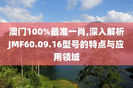 澳门100%最准一肖,深入解析JMF60.09.16型号的特点与应用领域