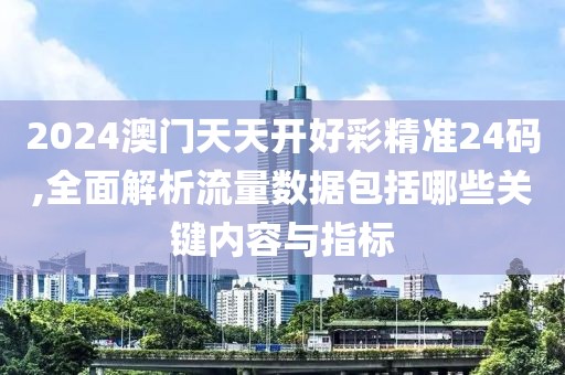 2024澳门天天开好彩精准24码,全面解析流量数据包括哪些关键内容与指标