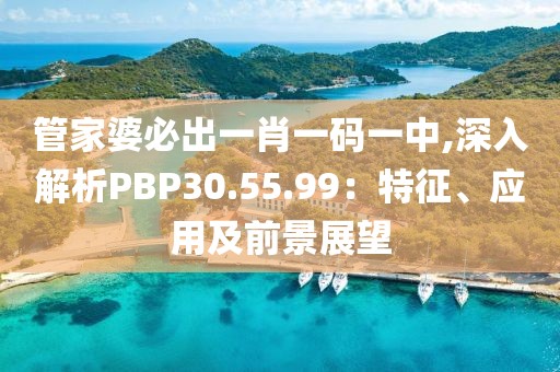管家婆必出一肖一码一中,深入解析PBP30.55.99：特征、应用及前景展望