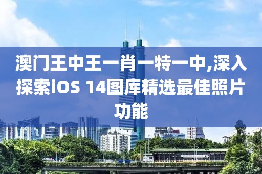 澳门王中王一肖一特一中,深入探索iOS 14图库精选最佳照片功能