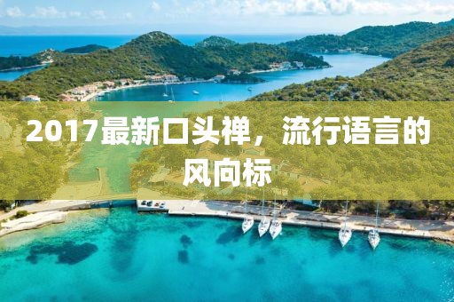 2017最新口头禅，流行语言的风向标