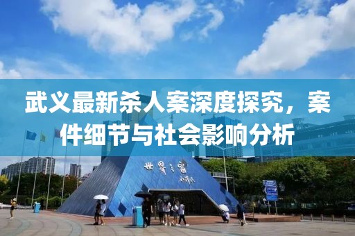 武义最新杀人案深度探究，案件细节与社会影响分析