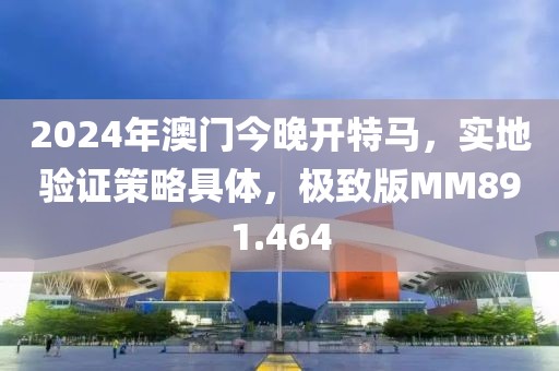 2024年澳门今晚开特马，实地验证策略具体，极致版MM891.464