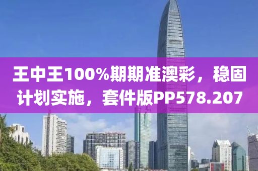 王中王100%期期准澳彩，稳固计划实施，套件版PP578.207