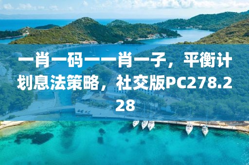 一肖一码一一肖一子，平衡计划息法策略，社交版PC278.228