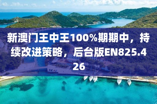 新澳门王中王100%期期中，持续改进策略，后台版EN825.426