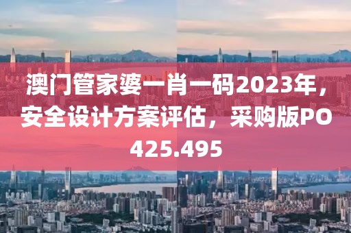澳门管家婆一肖一码2023年，安全设计方案评估，采购版PO425.495