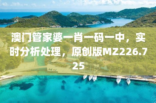 澳门管家婆一肖一码一中，实时分析处理，原创版MZ226.725