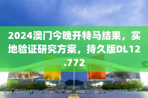 2024澳门今晚开特马结果，实地验证研究方案，持久版DL12.772