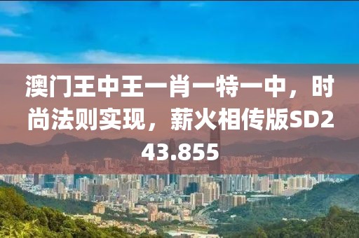 澳门王中王一肖一特一中，时尚法则实现，薪火相传版SD243.855