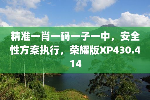 精准一肖一码一子一中，安全性方案执行，荣耀版XP430.414