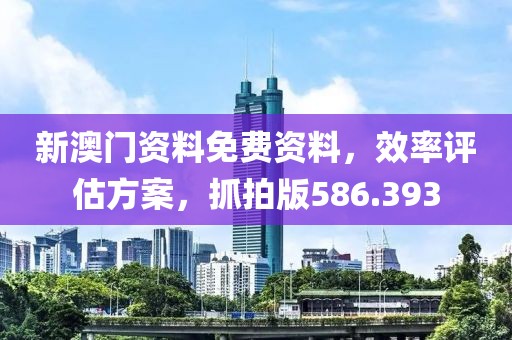 新澳门资料免费资料，效率评估方案，抓拍版586.393