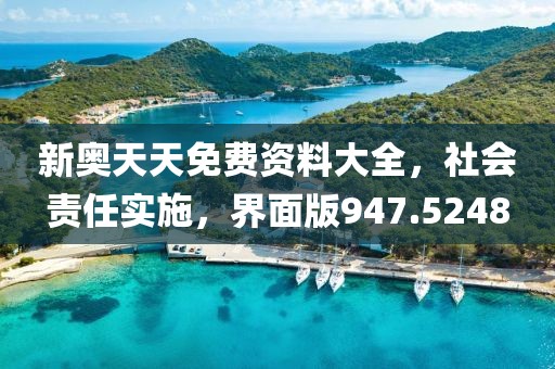 新奥天天免费资料大全，社会责任实施，界面版947.5248
