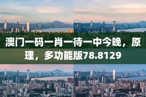 澳门一码一肖一待一中今晚，原理，多功能版78.8129