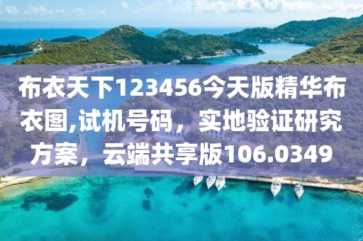布衣天下123456今天版精华布衣图,试机号码，实地验证研究方案，云端共享版106.0349