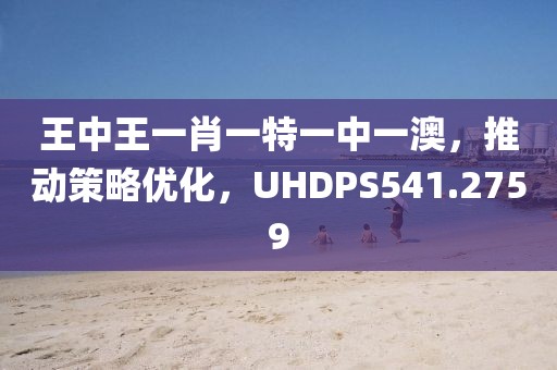 王中王一肖一特一中一澳，推动策略优化，UHDPS541.2759
