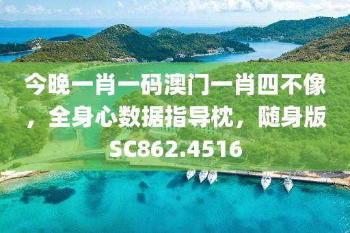 今晚一肖一码澳门一肖四不像，全身心数据指导枕，随身版SC862.4516