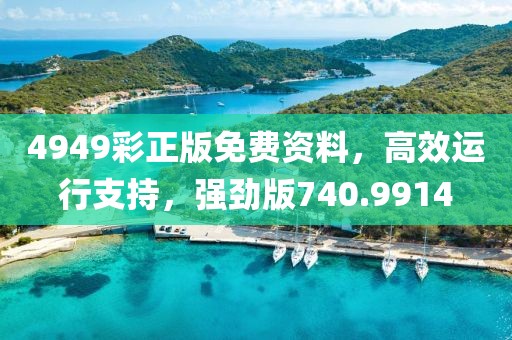 4949彩正版免费资料，高效运行支持，强劲版740.9914